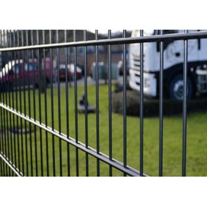Ornamental 1m Height Double Loop Wire Fence Metal Welded Mesh Gardens 8/6/8mm