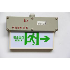 China Hazardous Areas with Ignitable Vapors Explosion-Proof Emergency Light 3000/4000/5000/5700K CCT on sale