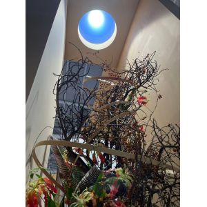 Cheap 2FT Round Smart Skylight with Sun Simulation, 80W High Brightness 3000+ Lumens, 2700-6500K, Tuya &amp; Remote Controlled, Mesh 5.0, 4m Coverage for sale