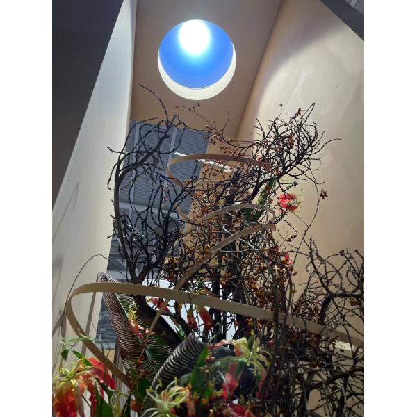 Quality 2FT Round Smart Skylight with Sun Simulation, 80W High Brightness 3000+ Lumens, 2700-6500K, Tuya & Remote Controlled, Mesh 5.0, 4m Coverage wholesale