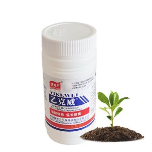 Algae Humic Acid Fertilizer Composite 100% Organic Particle