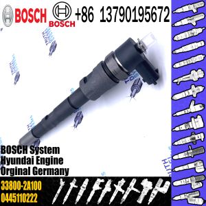 Fuel Injector Assembly 0 445 110 229/223 33800-2A100 0445110229 0445110223 Auto
