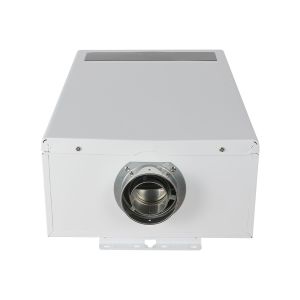 Energy Saving Pollution Reducing 21kW Balanced Gas Water Heater Producing 11L