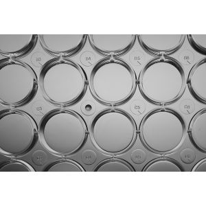 6 well 9.5cm Cell Culture Plates For P3 Laboratory