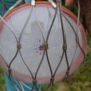 Cheap Stainless Steel 316 7 X 7 Cable Anti Drop Cover Safe Net Falling Prevention Net for sale