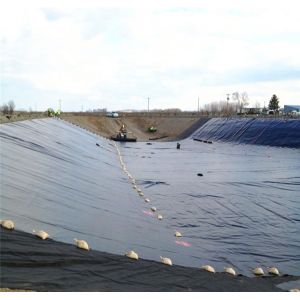 Water Fish Tanks Liner PONDLINER HDPE Geomembranes in Black White Green and Blue
