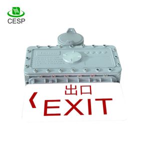 High efficiency 5W IP65 100lm/w Led Explosion-proof Emergency Light with 10