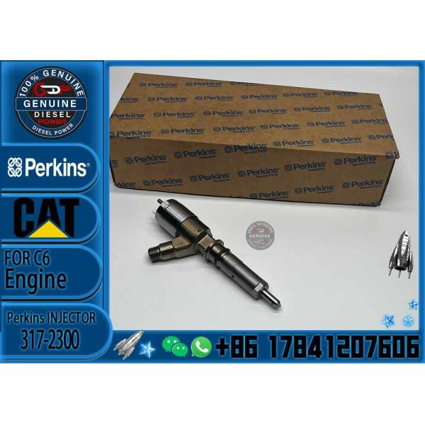 Quality 317-2300 Common Rail Fuel 320D 321D L Engine Injector 2645A717 326-4700 wholesale