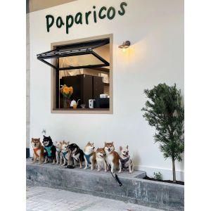 Vineyard-Facing Folding Window Configuration Framing Rolling Grape Rows and