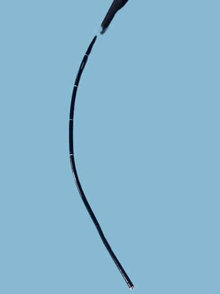 Quality Lexible Cysto-Nephroscope Endoscope Of CYF-VHA Belong To Medical Flexible Endoscope wholesale