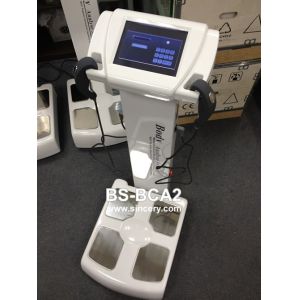 Segmented Body Composition Analyzer / Fat Percentage Monitor For Clinic Human
