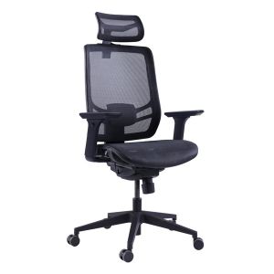 Wintex Black Mesh High Back Tilt Functional 4D Arm Ergonomic Executive Chair