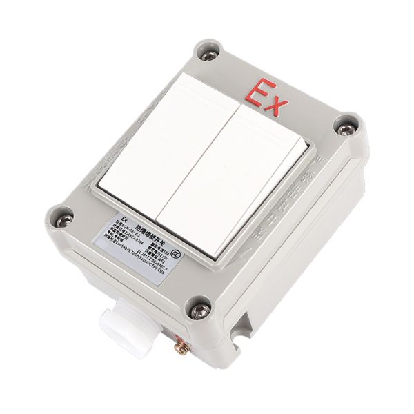 Quality ATEX Explosion Proof Die-Cast Aluminum Switch 220V 380V IP66 Explosion Proof light Switch uk wall switches wholesale
