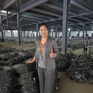 Putanka Mesh Low Visibility Wire Barrier For Military And Critical Infrastructur