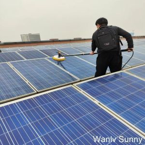 Telescopic Roller Solar Panel Cleaning Brush for PV Panel Shipping Method by Sea