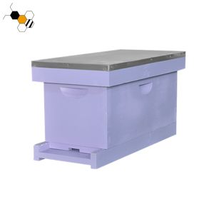 Bee Hive Equipment Painted 20mm Raising Queens Langstroth Nuc Box