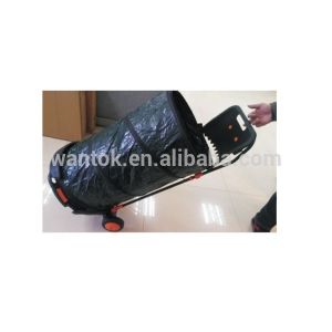 Gardening Routine with 160 Litres Garden Trolley and Leaf Bag on Wheels