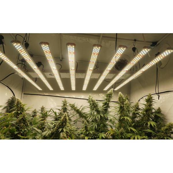 Full Spectrum 360W Smart LED Grow Light For Cannabis Chamber B6-9HS