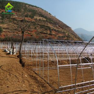 10-100m Length Broccoli Polytunnel Foil Greenhouse With Metal Frame