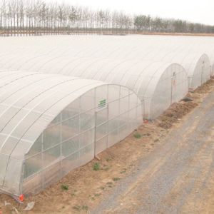 Hot-dip Galvanized Steel Pipe Framework Tunnel Mini Garden Greenhouse for