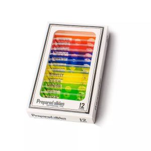 12pcs Children Customized Colorful Plastic Microscope Slides Used For Homeschool