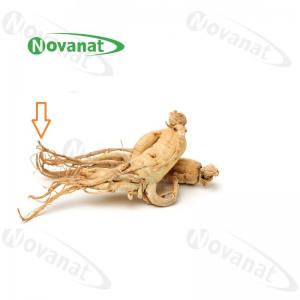 China Ginseng Rootlets Organic Dried Herbs Improving Immunity / Food Supplement on sale