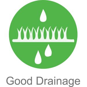 Natural Looking Garden Commercial Artificial Turf Rug Synthetic Turf Lawn ECO