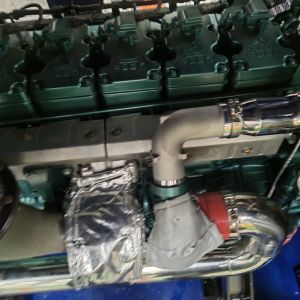 312.5KVA Biogas CNG Power Genset Plant Coal Natural Gas Generator 250kw in