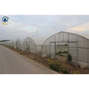 Arched Temperature Control Tunnel Green Houses With Outside Shading System