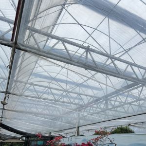 Steel Structure Multi-Span Plastic Greenhouse Package Size 50.00cm * 60.00cm *