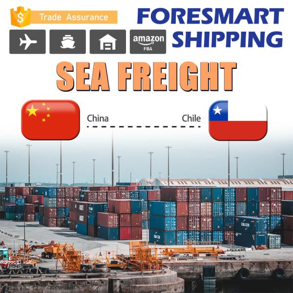 Quality China To Chile FCL Sea Freight , FCL Freight Forwarding 20FT 40FT 40HQ wholesale