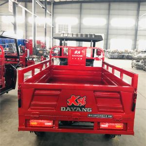 DAYANG 200cc Water Cooled Tricycle with Front and Rear Drum Brake Cylinder