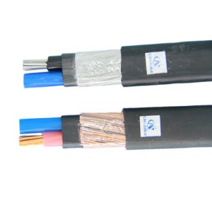 ASTM Thermoplastic Insulation 16mm2 25mm2 XLPE Concentric Cable