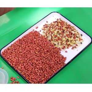 Peanut Groundnut Optical Sorting Machine High Accuracy Stainless Steel Almond