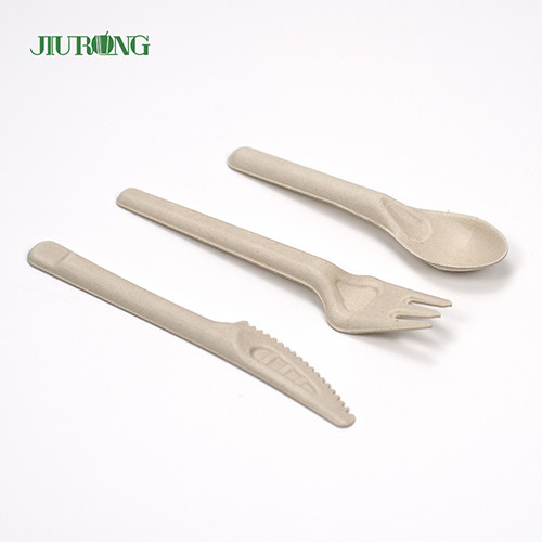 Quality Custom Biodegradable Disposable Cutlery Sugarcane Bagasse Knife Fork Spoon wholesale