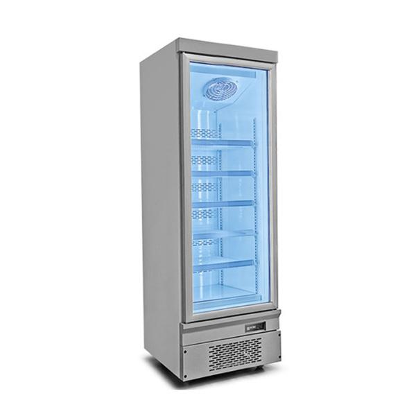 110V Commercial Upright Freezer Seafood Ice Cream Frozen Chicken Product Display