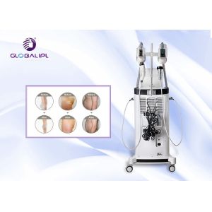 Fat Freeze Cryolipolysis Machine Vacuum Cavitation RF 5 in 1 Slimming Machine