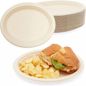 230mm Biodegradable Compostable Sugarcane Plates Bagasse White Oval Plates