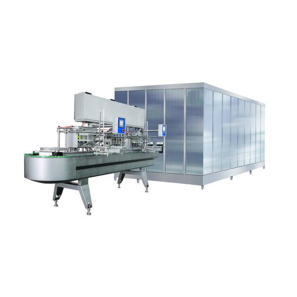 Customizable and High Productivity Ice Lolly Processing Line for Optimal
