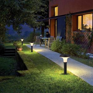 Customize Outdoor LED Solar Pathway Lights Waterproof For Decoration