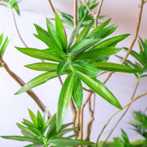 No Caring Artificial Landscape Trees With Lily Bamboo Monstera Small Plants