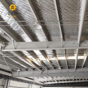 High Tensile Light Steel Frame Building Multi Story Warehouse Prefabricated