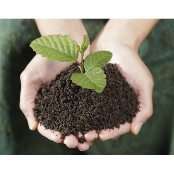 2 Ton Orgain Food Waste To Fertilizer Machine Automatic Organic Waste Converter