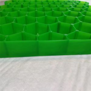 Black Green Plastic Paver Grid for Protecting Turf in Parking Lots and Driveways
