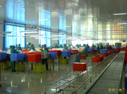 Vermicelli Coarse Cereal Type Bean Thread Rice Sweet Oriental Style Low-fat Noodle Green Bag Packing SHANDONG Mung Bean