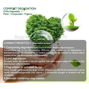 biodegradable and compostable shopping checkout bag, recycled plastic shopping