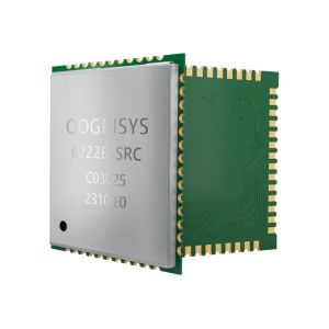 3.3V 5GHz WiFi Module RTL8822CS IEEE 802.11 2x2 MIMO UART PCM