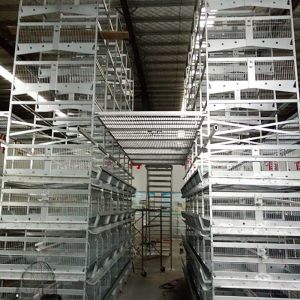 0 - 20kw Layer Chicken Cage 380V Voltage With Temperature Control System