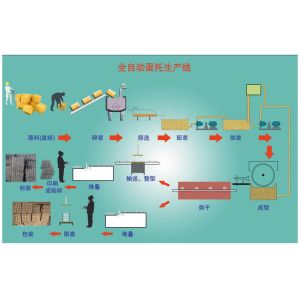 Paper Egg Tray Production Line, Egg Carton Making Machine, mold made to customer