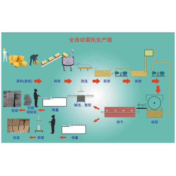 Paper Egg Tray Production Line, Egg Carton Making Machine, mold made to customer